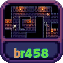 br458