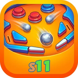 s11